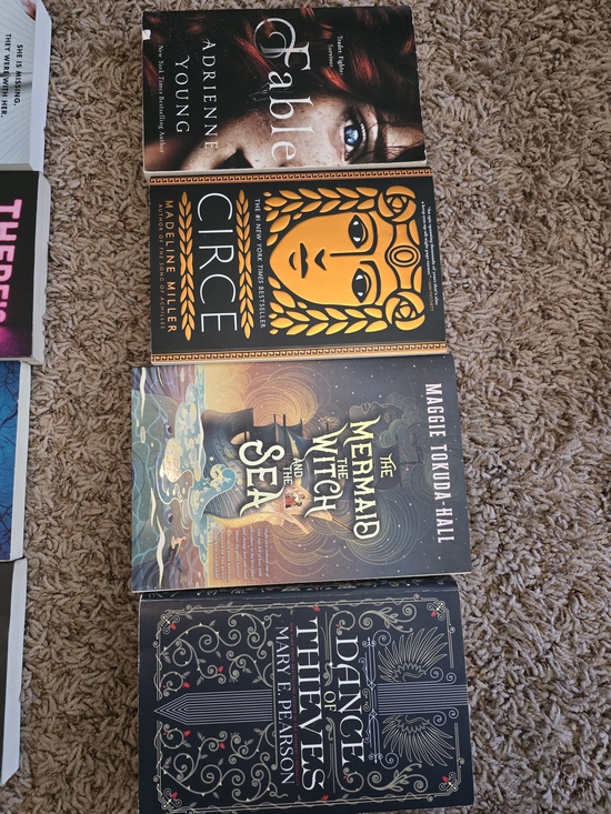 Other - Book Tok Fantasy-Set of 4 Illustrated Paperback Novels - Circe Included